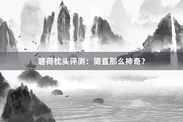 碧荷枕头评测：简直那么神奇？